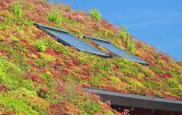 Titchfield Common living roof systems