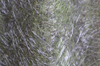 Titchfield Common fibreglass roof work